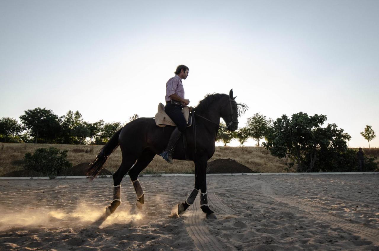 La Dehesa De Don Pedro Hotell Monesterio Exteriör bild